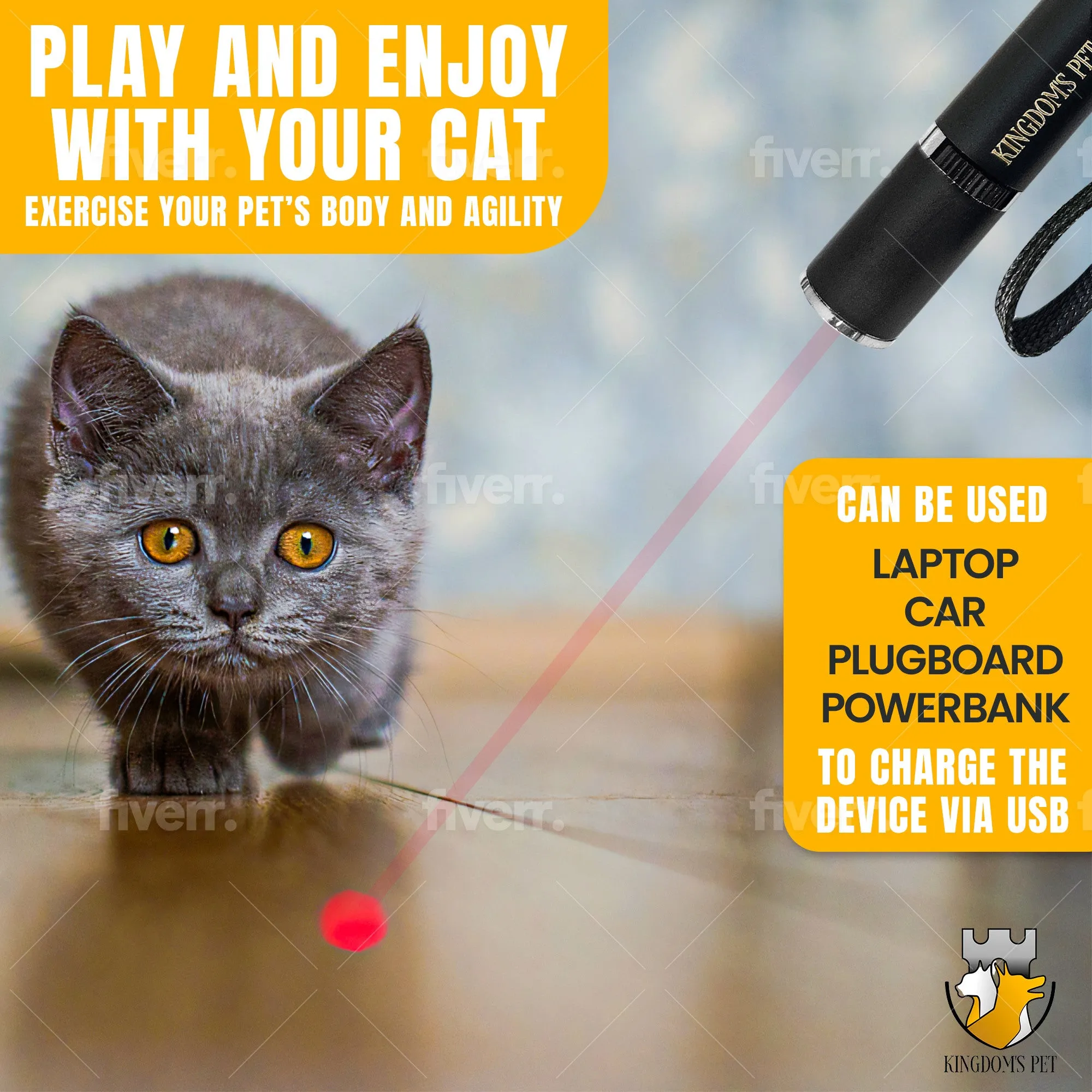 2-in-1 Cat Toy Interactive Toy - Laser Pointer & Feather