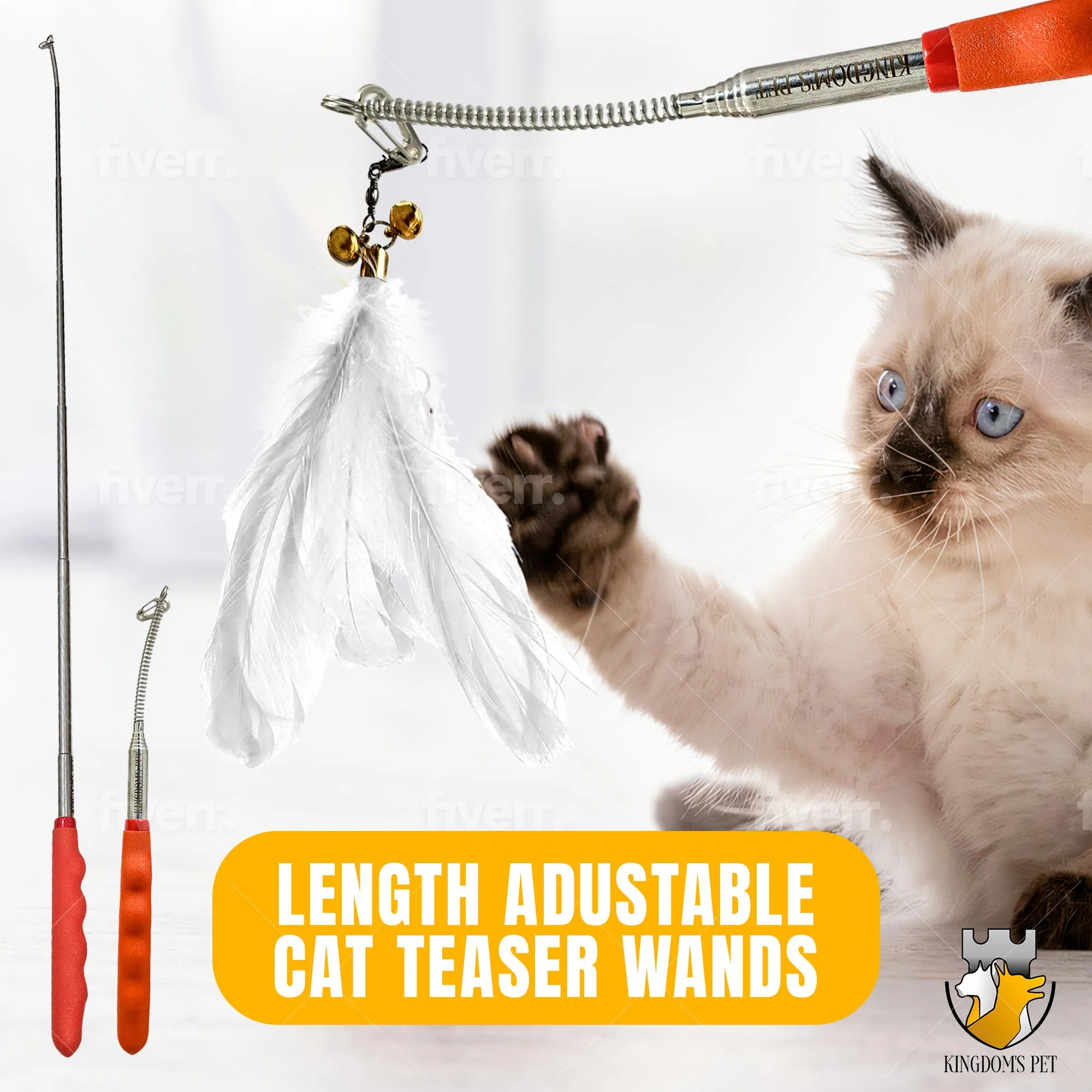 2-in-1 Cat Toy Interactive Toy - Laser Pointer & Feather