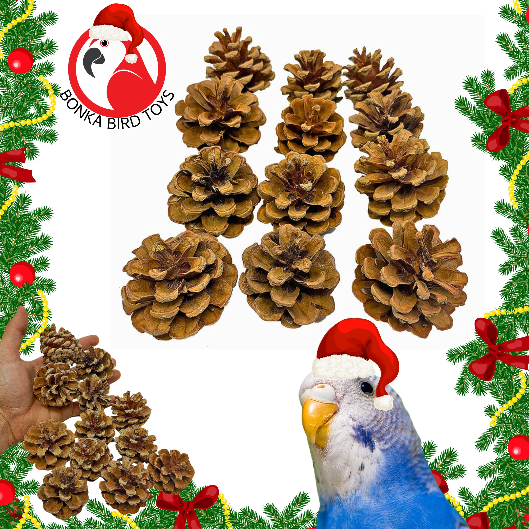 3284 Pk12 Natural Pinecones