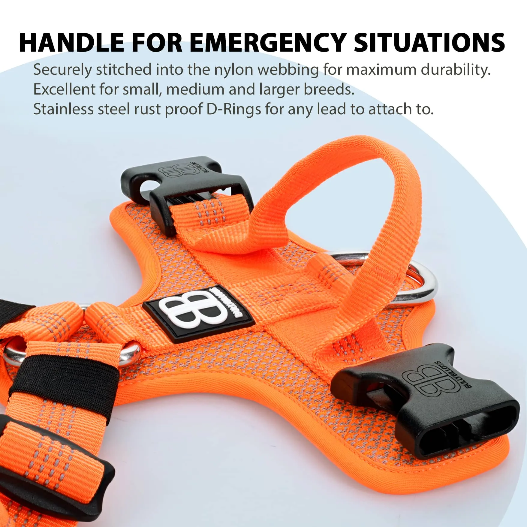 Active Harness | With Handle & Reflective - Orange