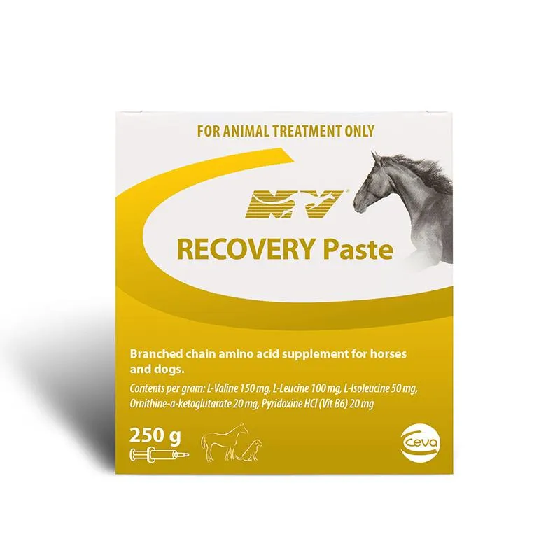 Ceva Recovery Paste 250g