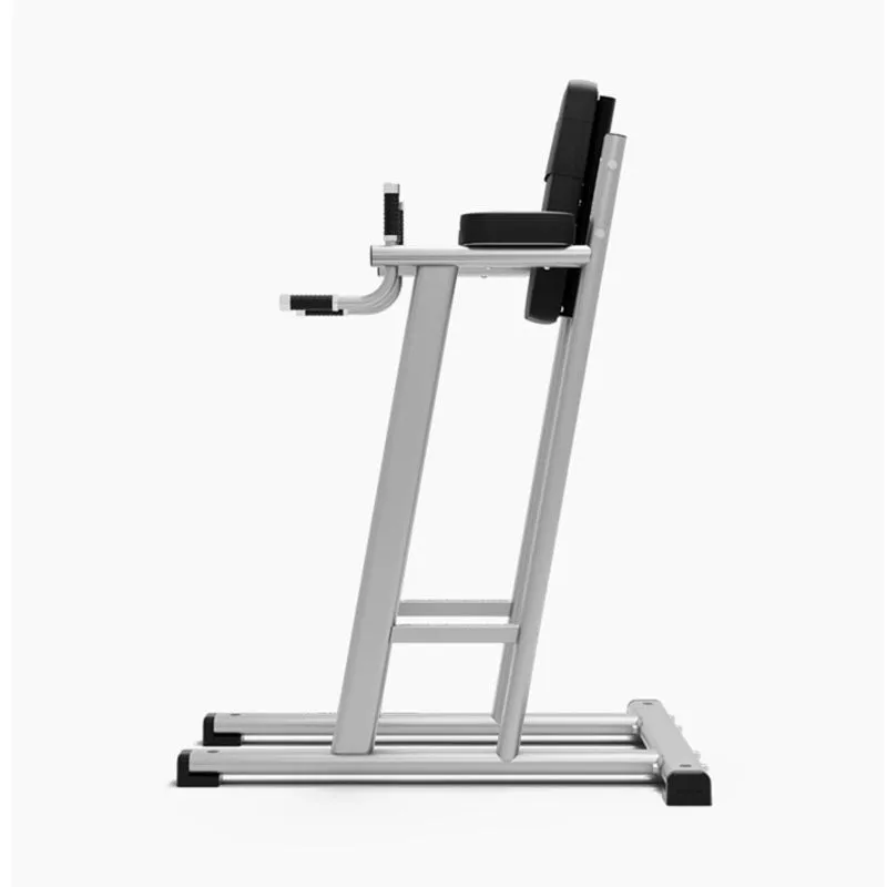 Exigo Leg Raise / Dip Station