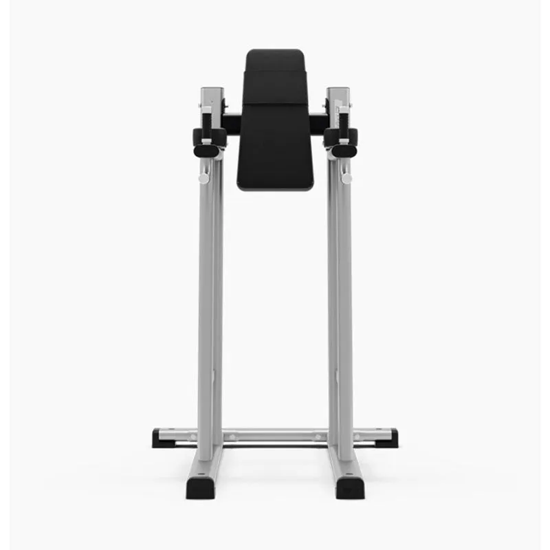 Exigo Leg Raise / Dip Station