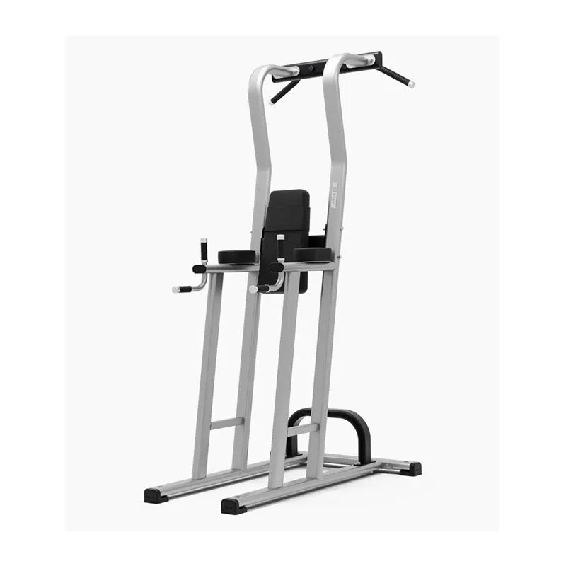 Exigo Rear Chin Dip Leg Raise Station