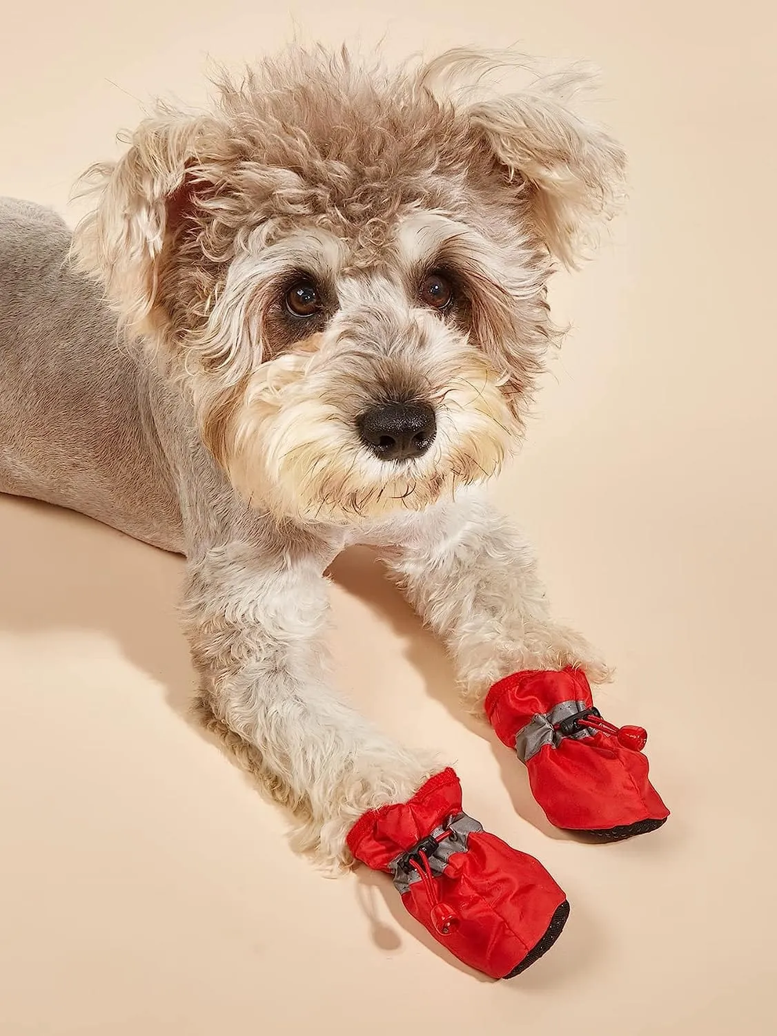 KUTKUT Dog Boots Paw Protector | Pack of 4pcs Anti-Slip Dog Shoes with Reflective Straps for Small Breed Dogs (Red)