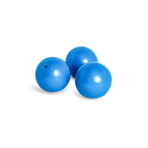 Weighted Exercise Ball